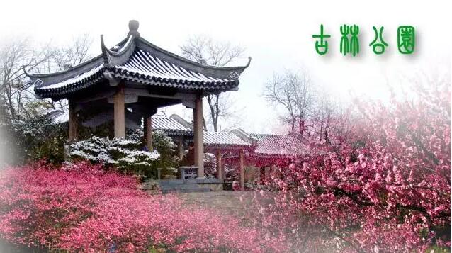 <b>【南京三門灣電器】周日4.24古林公園賞牡丹花、</b>